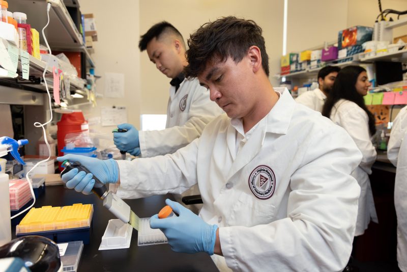 Graduate student studies ways to help people with Lupus