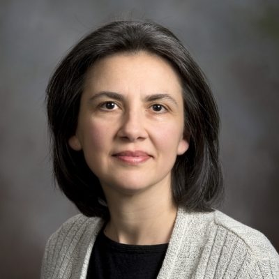 Daniela Cimini, Ph.D.