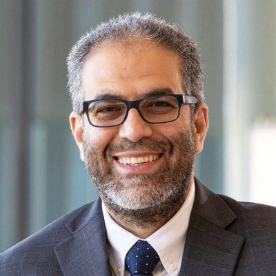 Mohamed Seleem, DVM, Ph.D.