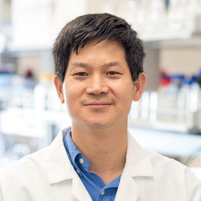 Hehuang “David” Xie, Ph.D.